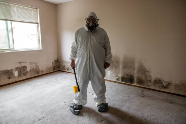 Best Forensic Mold Investigation  in Mazomanie, WI
