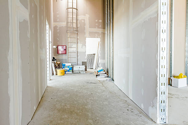 Best Environmental Consulting for Mold Prevention  in Mazomanie, WI