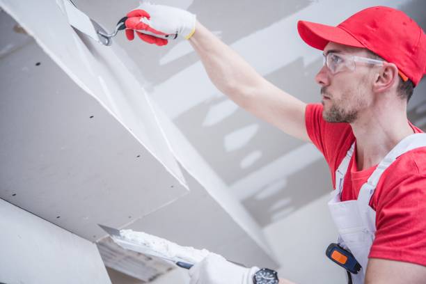 Best Commercial Mold Inspection  in Mazomanie, WI